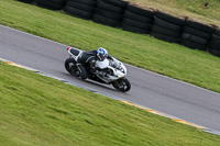 PJ-Motorsport-2019;anglesey-no-limits-trackday;anglesey-photographs;anglesey-trackday-photographs;enduro-digital-images;event-digital-images;eventdigitalimages;no-limits-trackdays;peter-wileman-photography;racing-digital-images;trac-mon;trackday-digital-images;trackday-photos;ty-croes